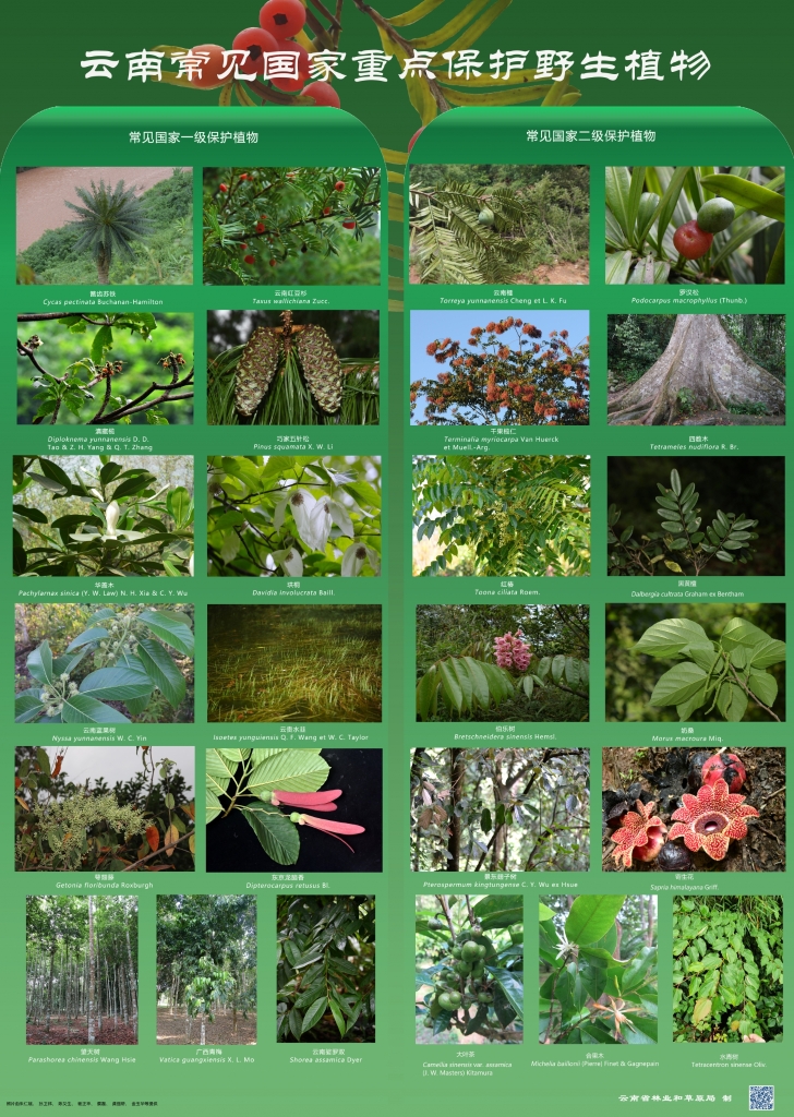 以案普法：：抑氐惚；；ぶ参镒